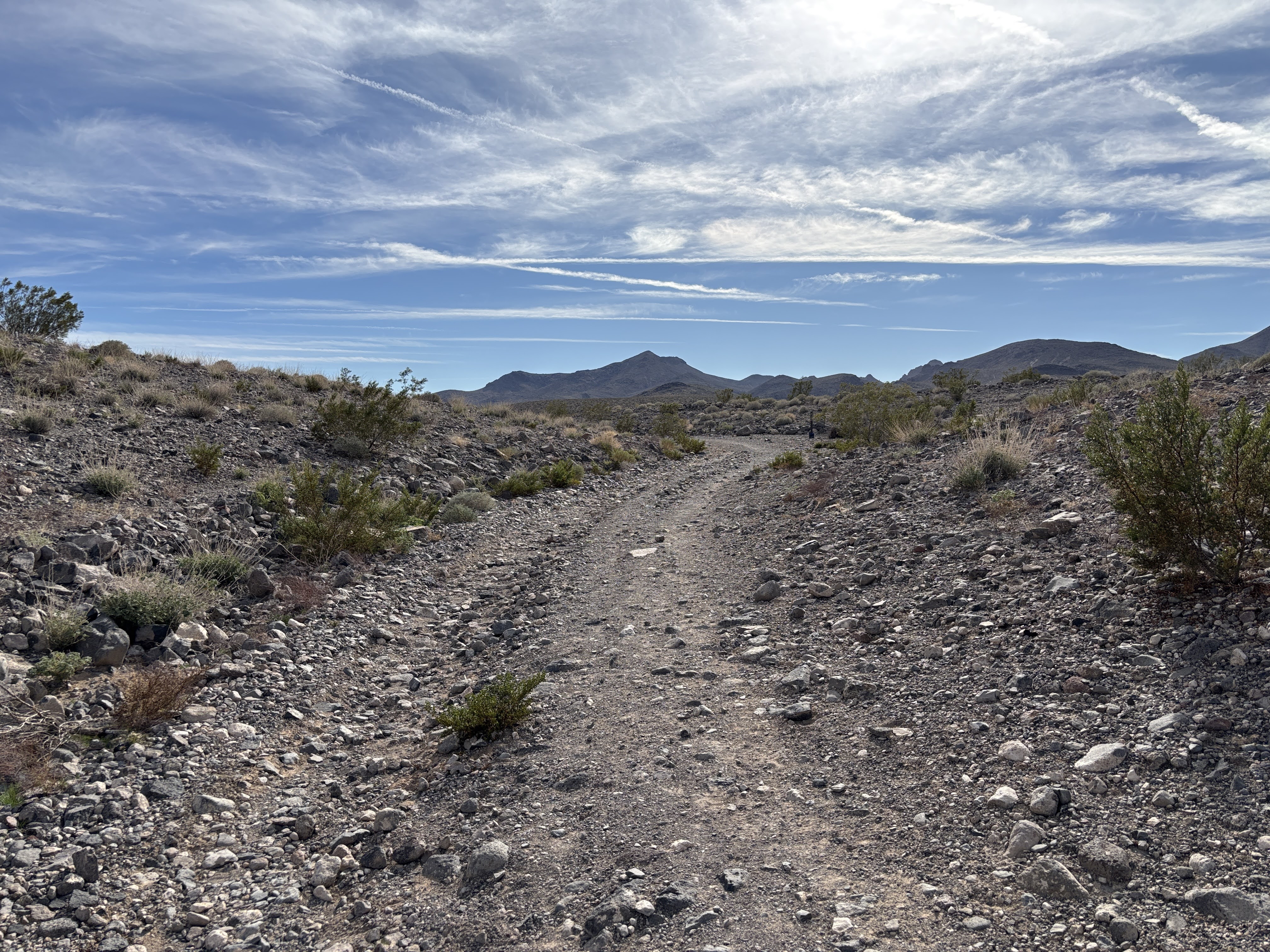 Desert trail